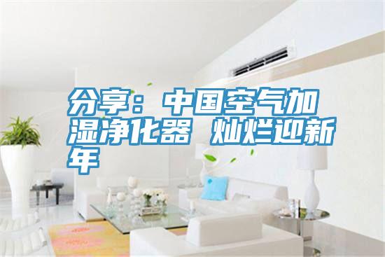分享：中国空气加湿净化器 灿烂迎新年