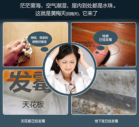 家庭别墅的地下室、卫生间、储物室等该如何除湿？