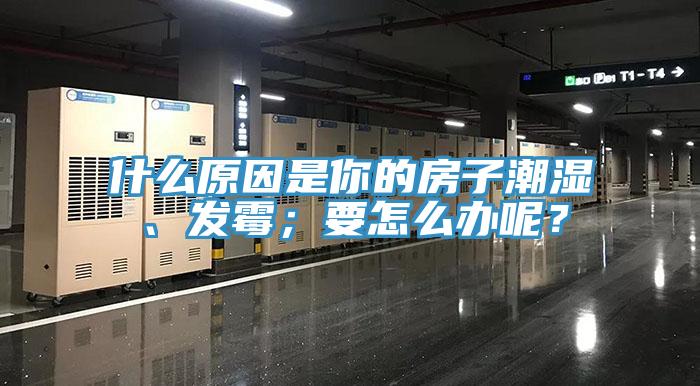 什么原因是你的房子潮湿、发霉；要怎么办呢？
