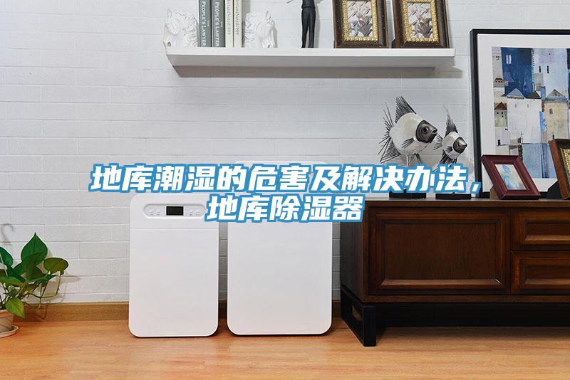 地库潮湿的危害及解决办法，地库除湿器