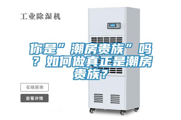 你是”潮房贵族”吗？如何做真正是潮房贵族？