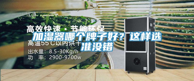 加湿器哪个牌子好？这样选准没错