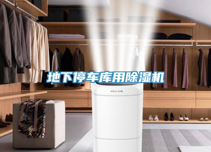 地下停车库用小黄片直播视频