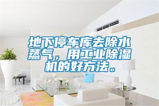 地下停车库去除水蒸气，用工业小黄片直播视频的好方法。