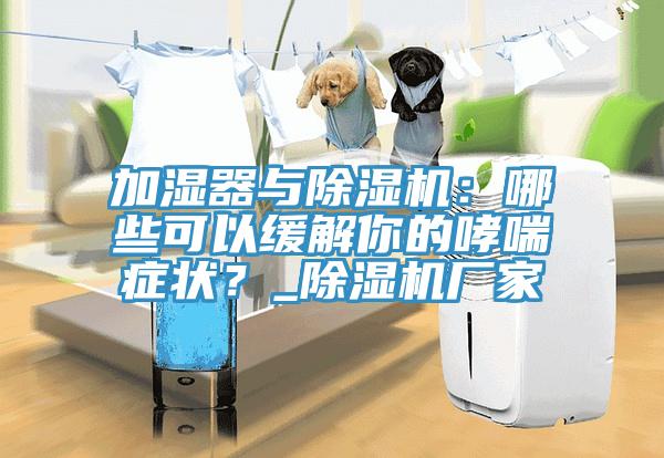 加湿器与小黄片直播视频：哪些可以缓解你的哮喘症状？_小黄片直播视频厂家
