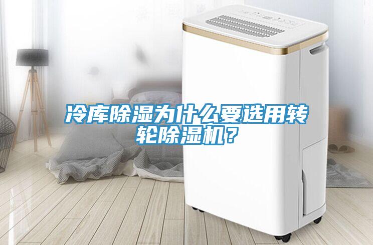 冷库除湿为什么要选用转轮小黄片直播视频？