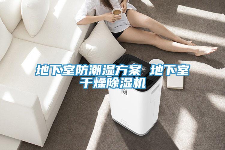 地下室防潮湿方案 地下室干燥小黄片直播视频