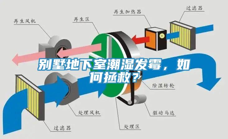 别墅地下室潮湿发霉，如何拯救？