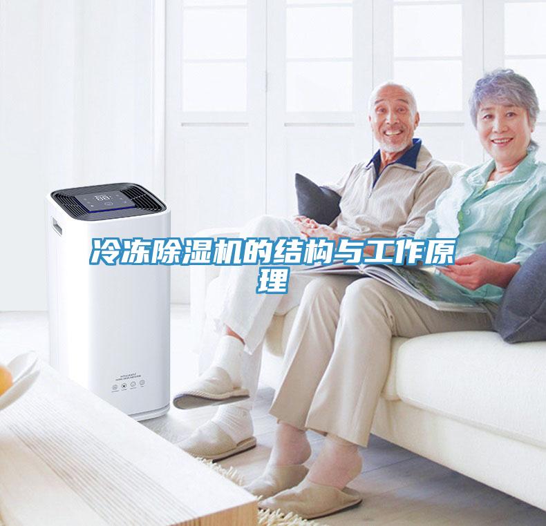 冷冻小黄片直播视频的结构与工作原理