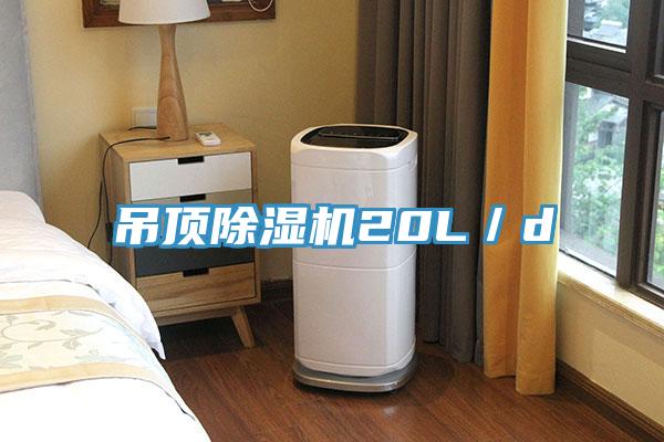 吊顶小黄片直播视频20L／d
