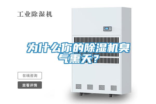 为什么你的小黄片直播视频臭气熏天？