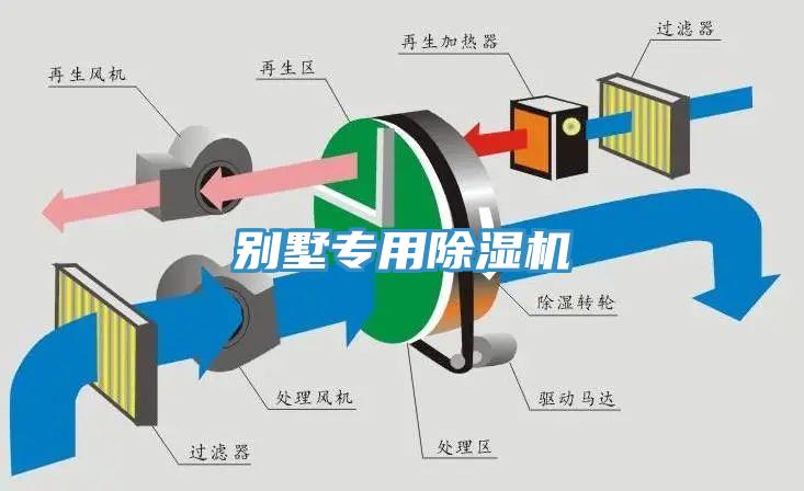 别墅专用小黄片直播视频