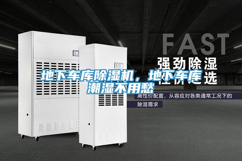 地下车库小黄片直播视频，地下车库潮湿不用愁