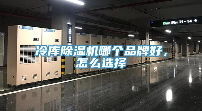 冷库小黄片直播视频哪个品牌好，怎么选择