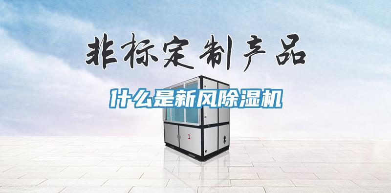 什么是新风小黄片直播视频