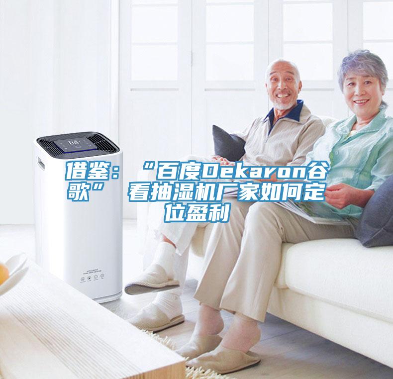 借鉴：“百度Dekaron谷歌” 看抽湿机厂家如何定位盈利