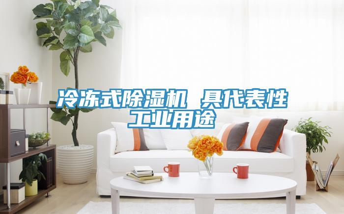 冷冻式小黄片直播视频 具代表性工业用途