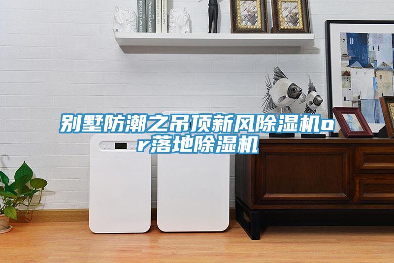 别墅防潮之吊顶新风小黄片直播视频or落地小黄片直播视频