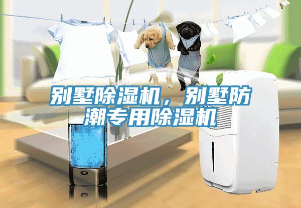 别墅小黄片直播视频，别墅防潮专用小黄片直播视频