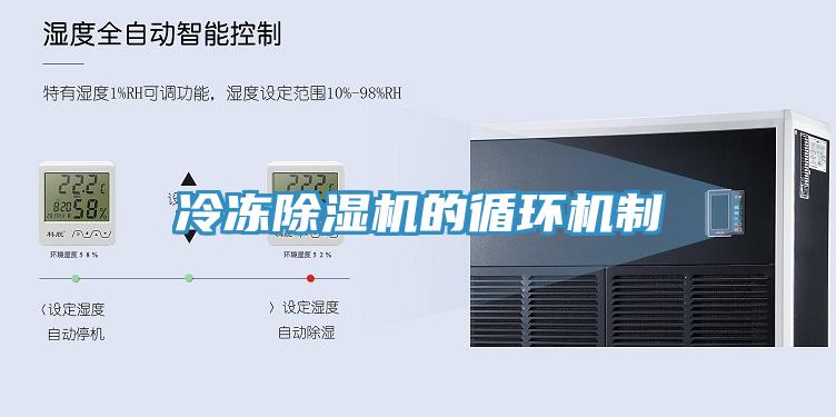 冷冻小黄片直播视频的循环机制