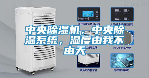 中央小黄片直播视频，中央除湿系统，湿度由我不由天