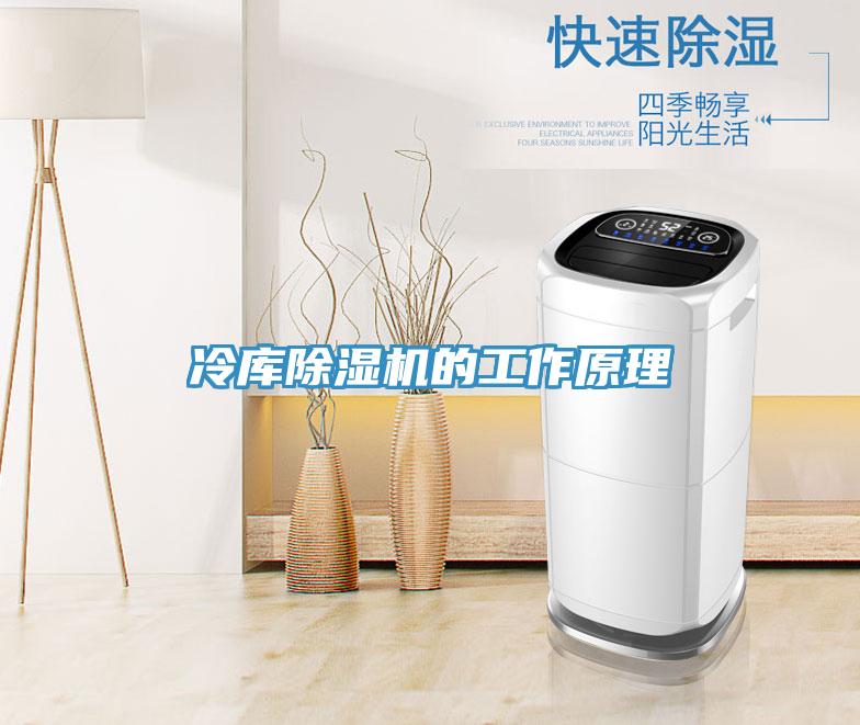 冷库小黄片直播视频的工作原理