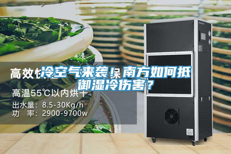 冷空气来袭！南方如何抵御湿冷伤害？