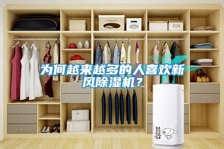 为何越来越多的人喜欢新风小黄片直播视频？