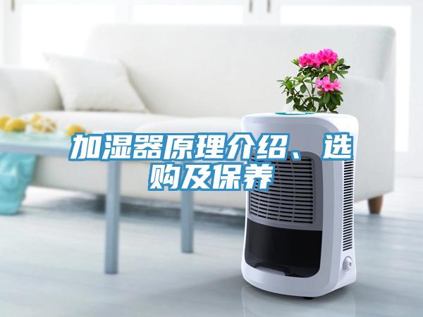 加湿器原理介绍、选购及保养