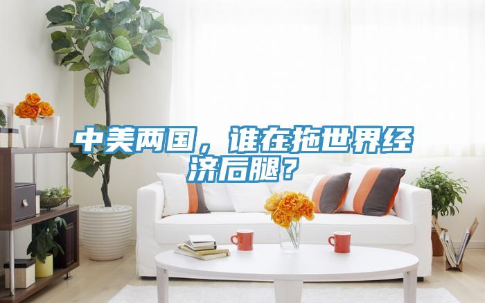 中美两国，谁在拖世界经济后腿？
