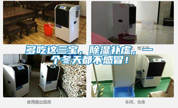多吃这三宝，除湿补虚，一个冬天都不感冒！