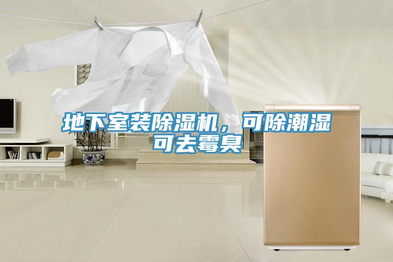 地下室装小黄片直播视频，可除潮湿可去霉臭