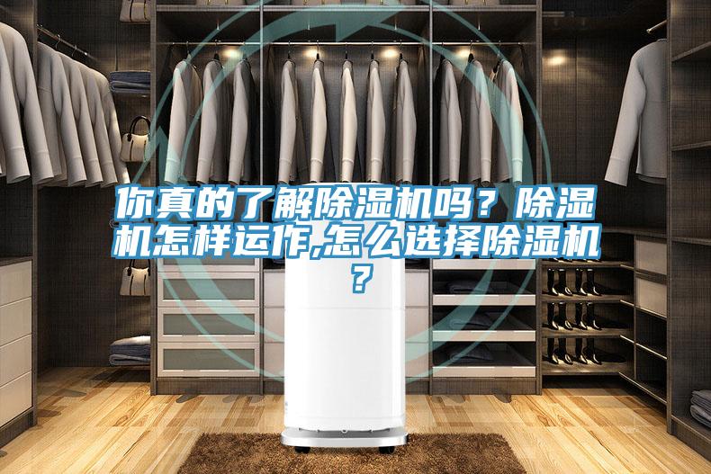 你真的了解小黄片直播视频吗？小黄片直播视频怎样运作,怎么选择小黄片直播视频？