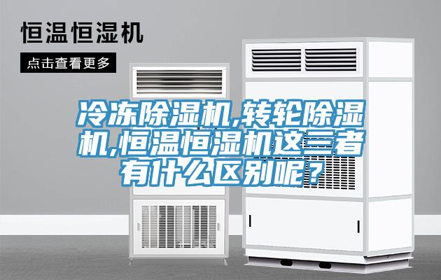冷冻小黄片直播视频,转轮小黄片直播视频,恒温恒湿机这三者有什么区别呢？