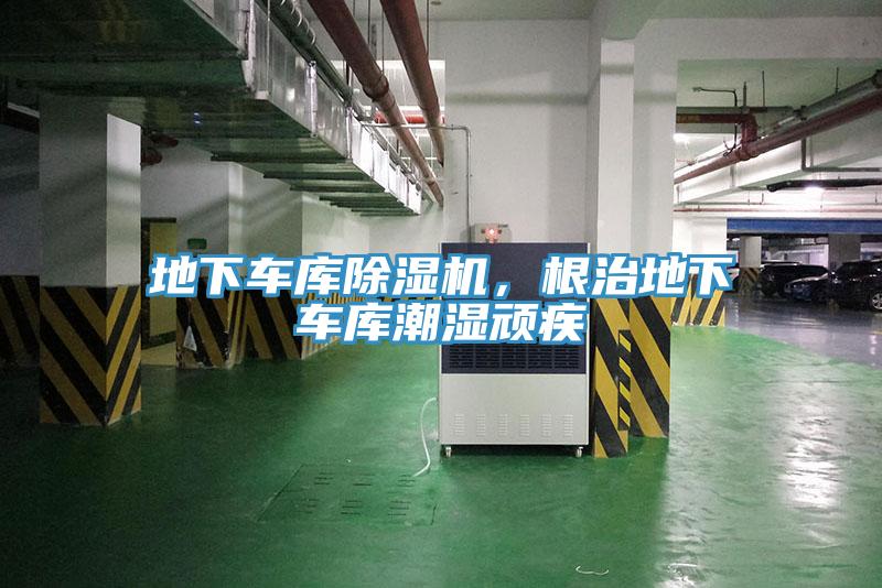 地下车库小黄片直播视频，根治地下车库潮湿顽疾