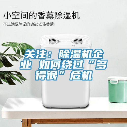 关注：小黄片直播视频企业 如何绕过“多得很”危机