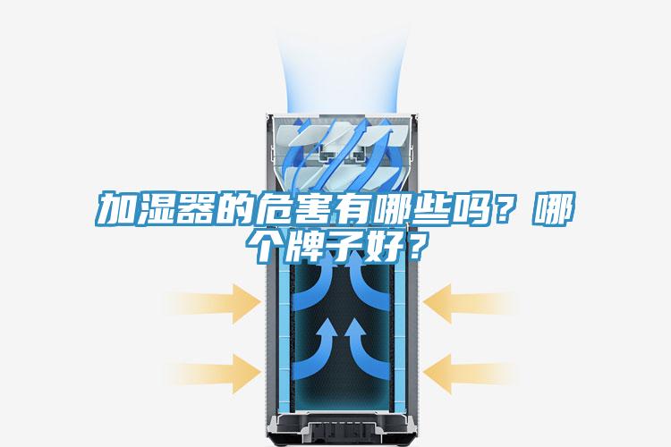 加湿器的危害有哪些吗？哪个牌子好？