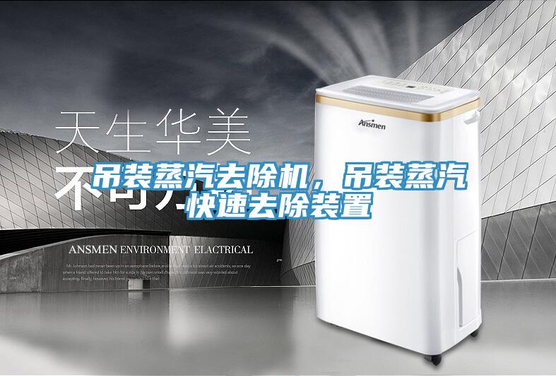 吊装蒸汽去除机，吊装蒸汽快速去除装置