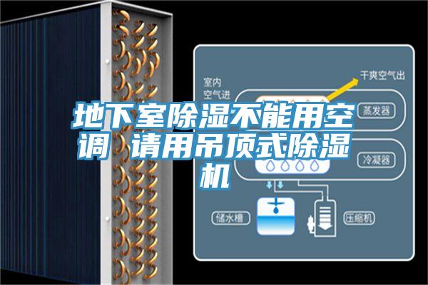 地下室除湿不能用空调 请用吊顶式小黄片直播视频