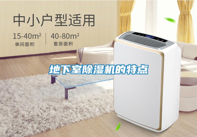地下室小黄片直播视频的特点