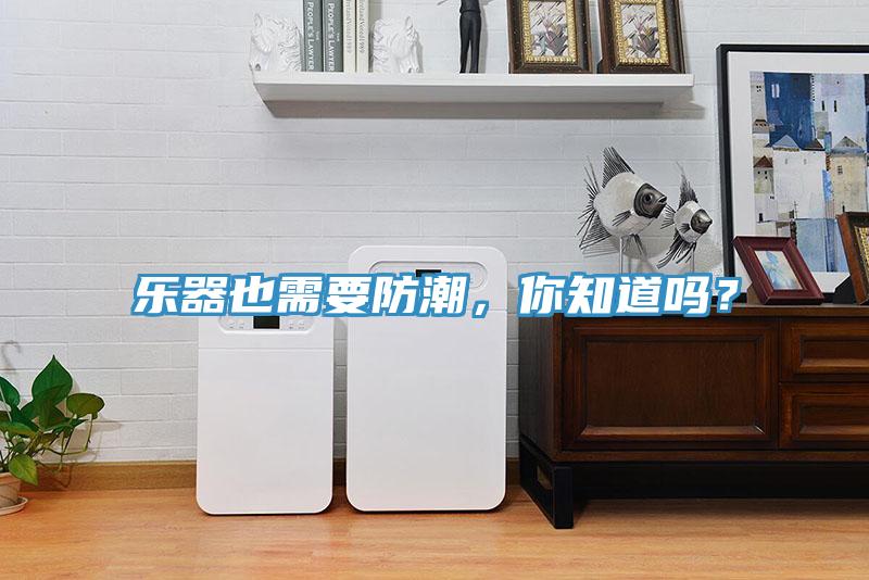 乐器也需要防潮，你知道吗？