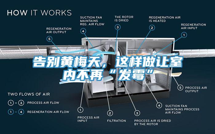 告别黄梅天，这样做让室内不再“发霉”
