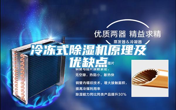 冷冻式小黄片直播视频原理及优缺点