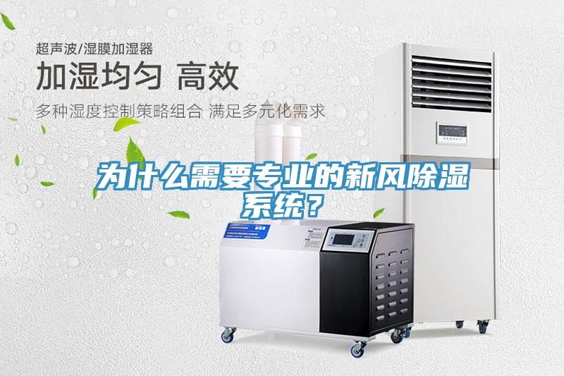 为什么需要专业的新风除湿系统？