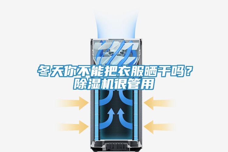冬天你不能把衣服晒干吗？小黄片直播视频很管用