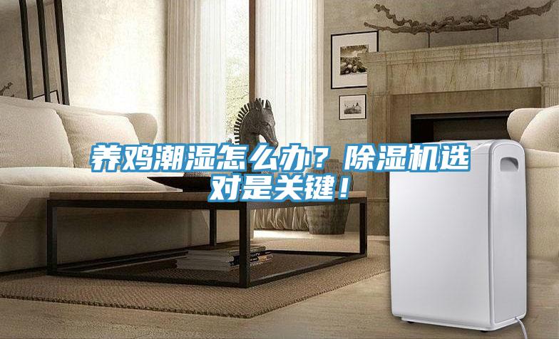 养鸡潮湿怎么办？小黄片直播视频选对是关键！