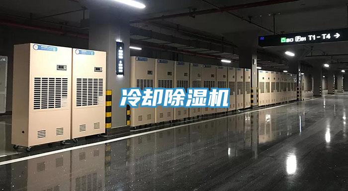 冷却小黄片直播视频