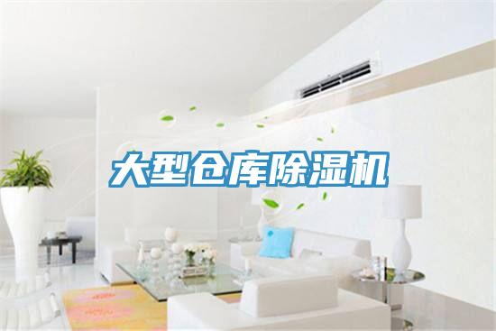 大型仓库小黄片直播视频