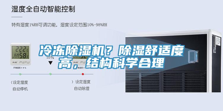 冷冻小黄片直播视频？除湿舒适度高，结构科学合理