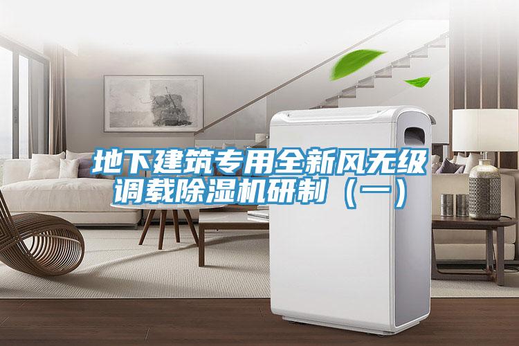 地下建筑专用全新风无级调载小黄片直播视频研制（一）